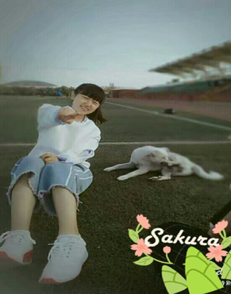 �y���҃�(n��i)�O(sh��)Ӌ(j��)|�y���O(sh��)Ӌ(j��)��