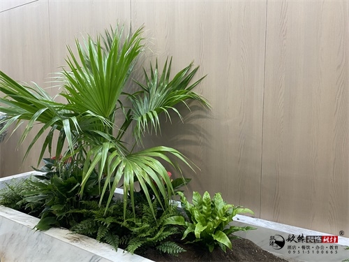 �y���k�����b���O(sh��)Ӌ��(sh��)���D|�N���O(sh��)Ӌ